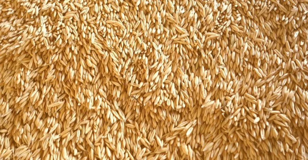 фотография продукта Пшеница класса Фураж