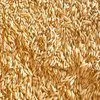 пшеница класса Фураж в Краснодаре