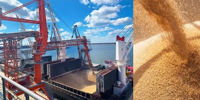 фотография продукта Russian Milling Wheat 2 grade to China 