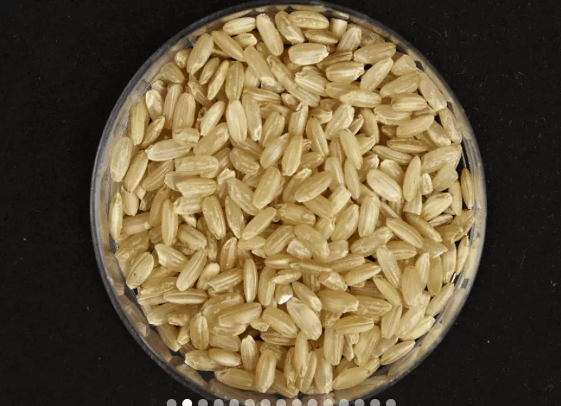 фотография продукта Бурый среднезёрный рис (нешлифованный)