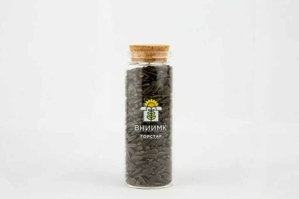 фотография продукта Семена гибрида подсолнечника горстар
