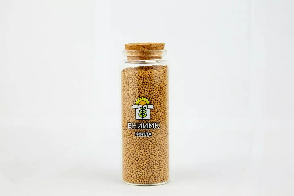 фотография продукта Семена белой горчицы сорт колла