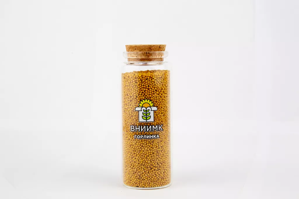 фотография продукта Семена горчицы сарептской сорт горлинка