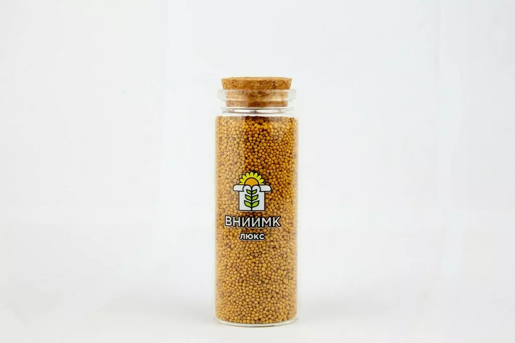 семена горчицы сарептской сорт люкс в Краснодаре и Краснодарском крае