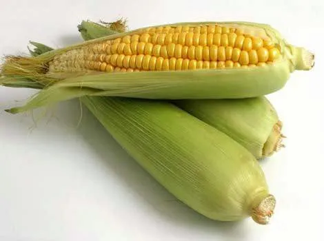 фотография продукта Семена кукурузы: Краснодарский 194 МВ 