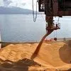 milling Wheat 25000 tons - CFR Syria в Сирии