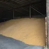 кукуруза оптом от производителя в Краснодаре