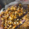 кукуруза Экспорт Fob Cif в Краснодаре