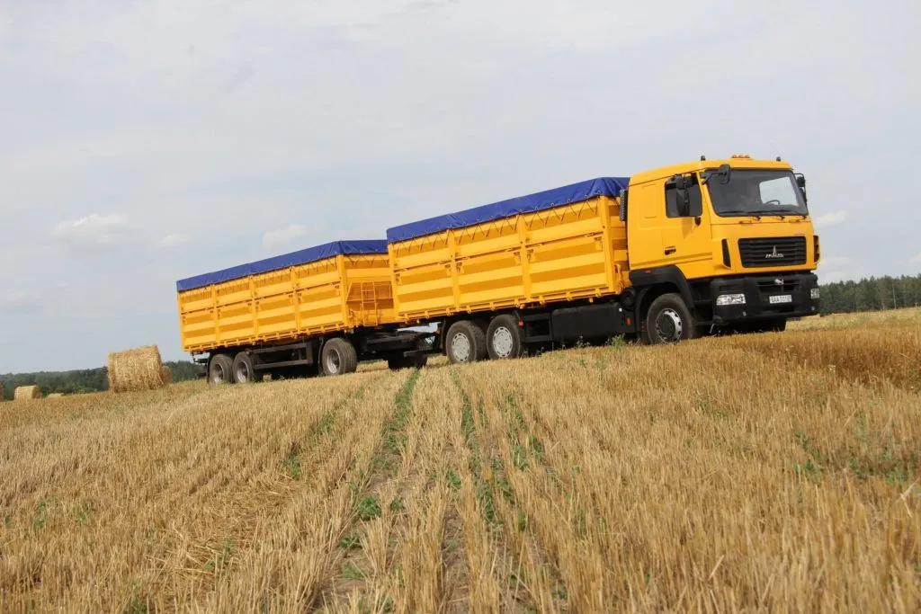 свободные зерновозы по всей России!!!!!! в Краснодаре