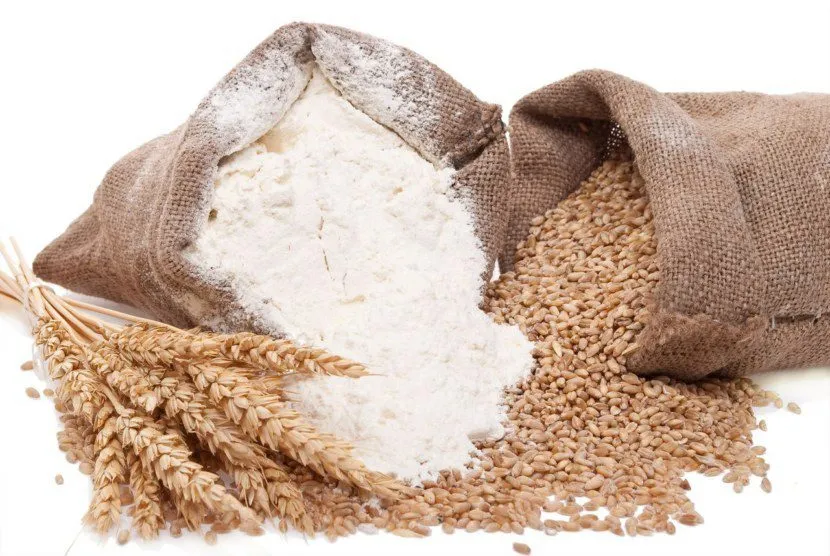 оОО ЦСОП осуществляет поставки зерна в Краснодаре