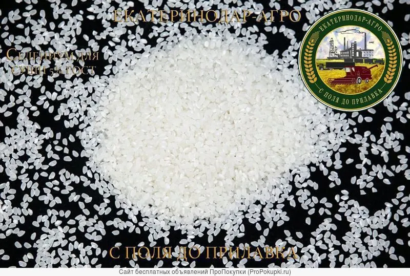 рис оптом от производителя в Таджикистане