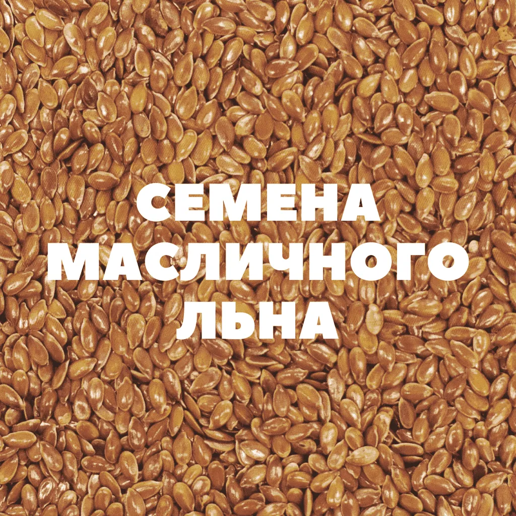 фотография продукта Семена масличного льна на посев