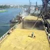 международная зерновая компания Экспорт в Новороссийске