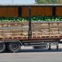 грузоперевозки от 1 до 20 тонн в Краснодаре и Краснодарском крае 2