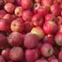 яблоки оптом (более 4000 тонн) в Краснодаре и Краснодарском крае 5