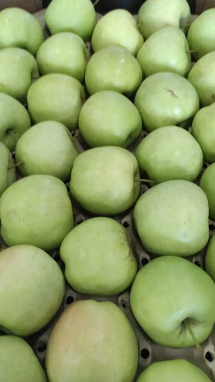 яблоки оптом (более 4000 тонн) в Краснодаре и Краснодарском крае 4