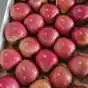 яблоки оптом (более 4000 тонн) в Краснодаре и Краснодарском крае 3