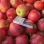 яблоки оптом (более 4000 тонн) в Краснодаре и Краснодарском крае