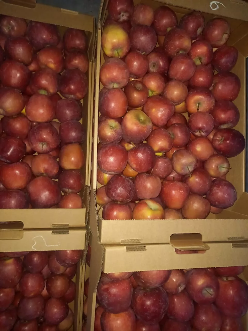 яблоки оптом напрямую от производителя  в Краснодаре и Краснодарском крае 2