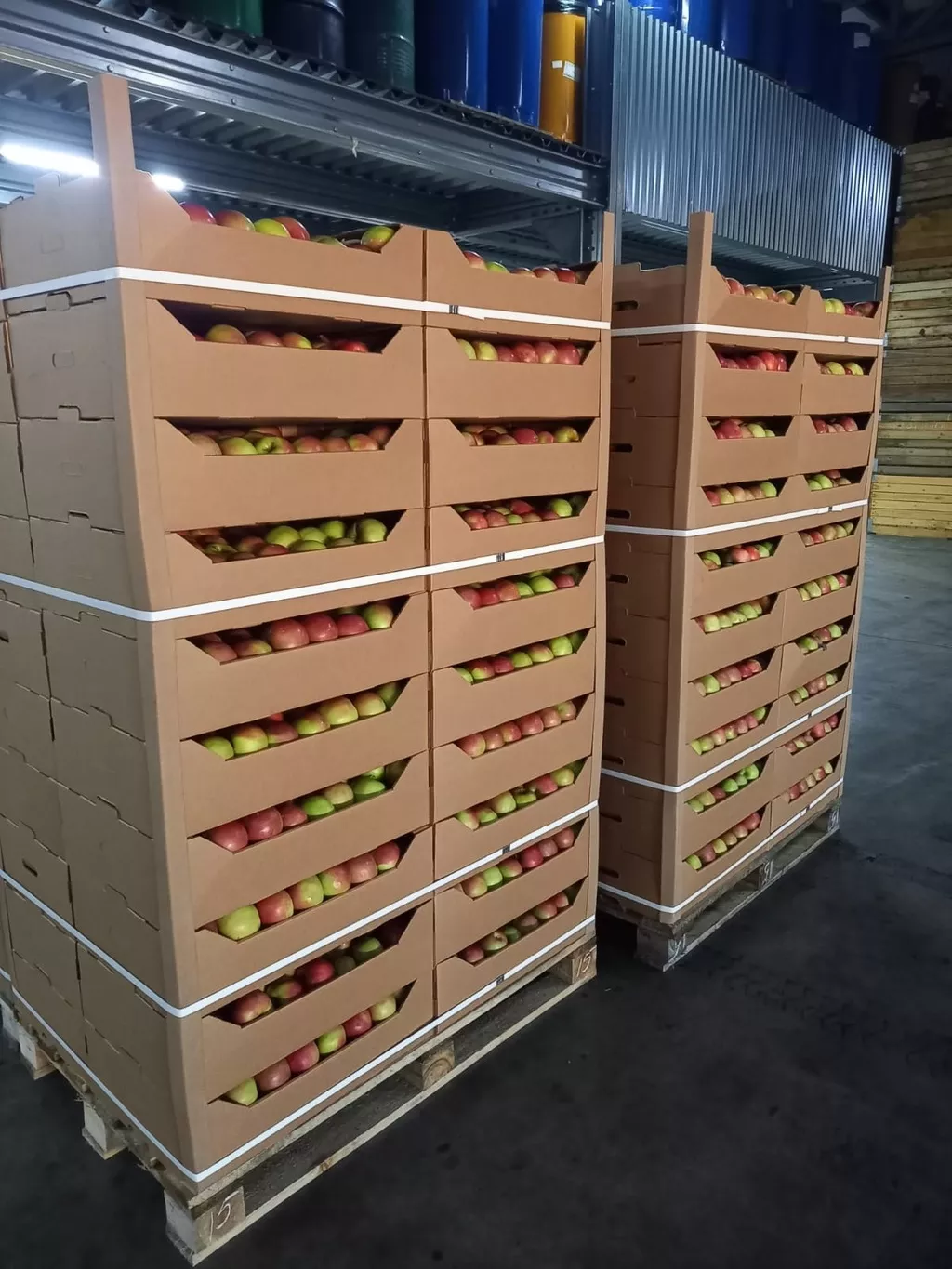 яблоки оптом напрямую от производителя  в Краснодаре и Краснодарском крае