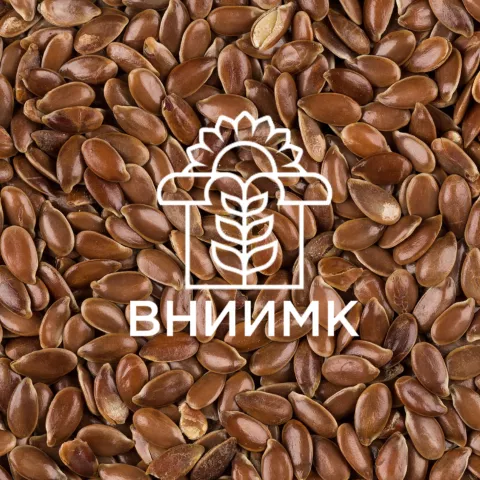 фотография продукта Семена масличного льна сорт светлячок