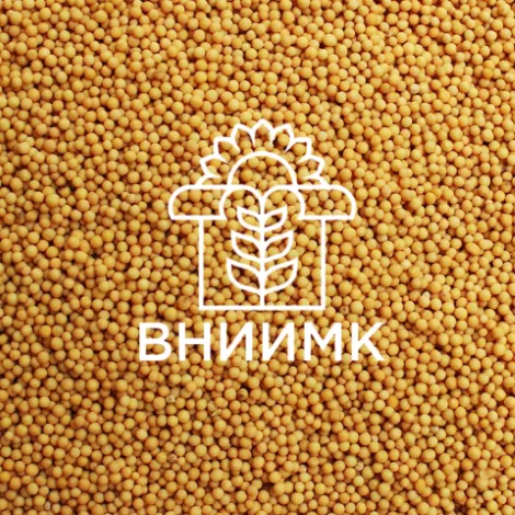 семена горчицы сарептской сорт ника в Краснодаре и Краснодарском крае