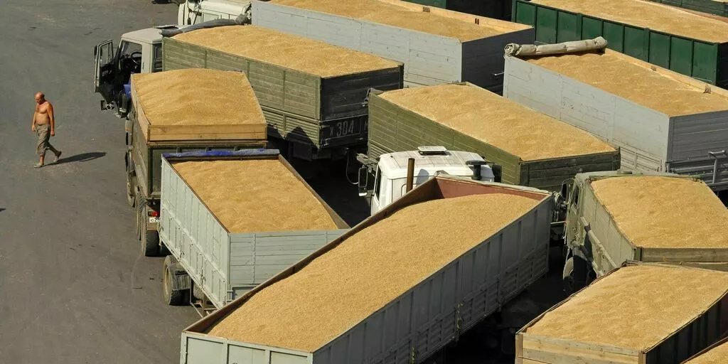 перевалка сельхозпродукции на экспорт в Краснодаре и Краснодарском крае