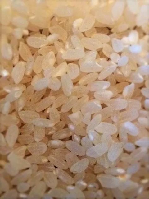 фотография продукта Производитель продает рис